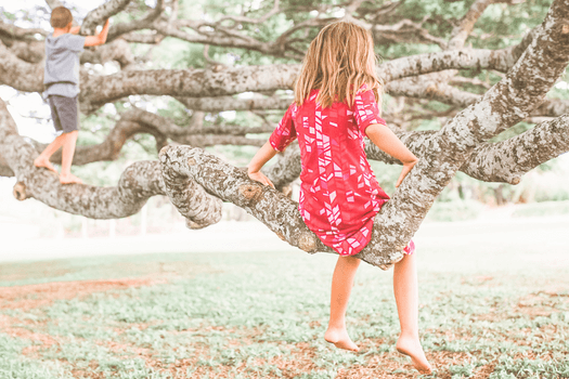 Young girl and her brother climbing the low hanging branches of a live oak tree - suggesting the concept of things to do when child is bored. www.intentionalfamilylife.com