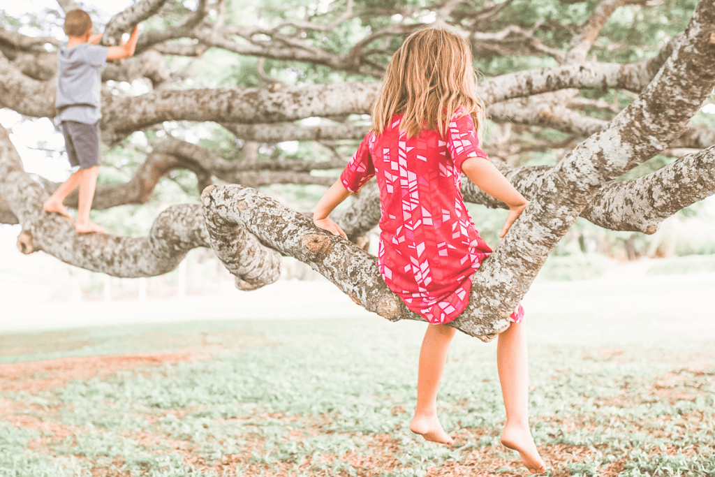 Young girl and her brother climbing the low hanging branches of a live oak tree - suggesting the concept of things to do when child is bored