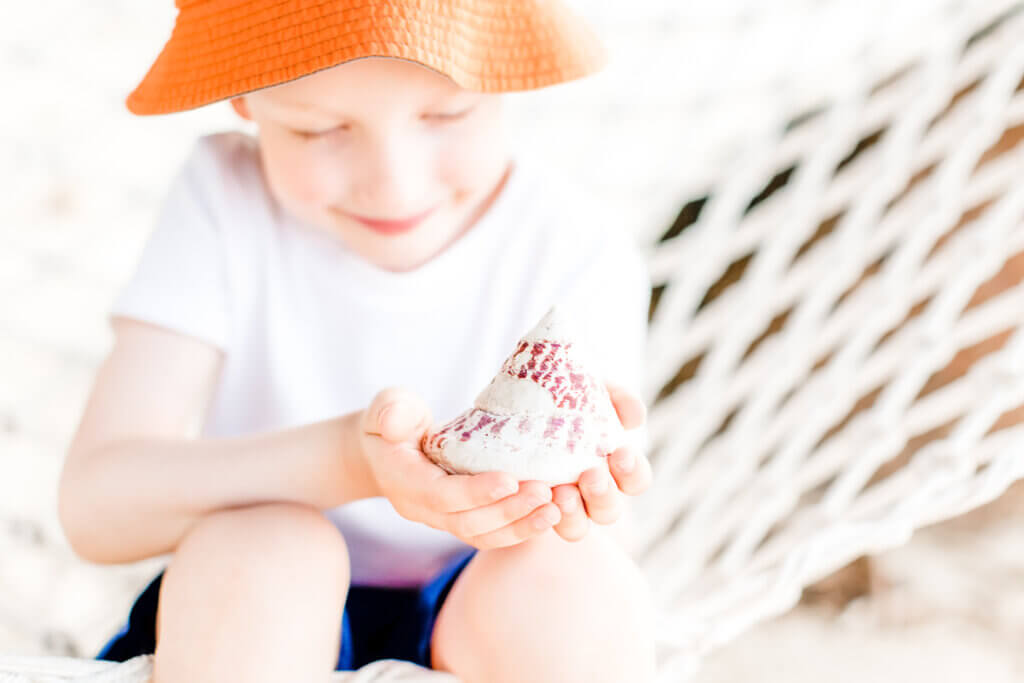 little boy holding sea shell and sitting at the hammock at the beach