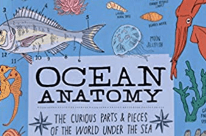 image of Ocean Anatomy book cover