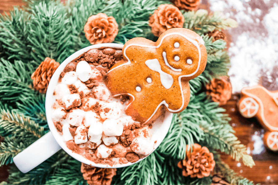 Image of hot chocolate with gingerbread man on background of pine boughs and small decorative pine cones imaging the idea of holiday smells and Christmas essential oils