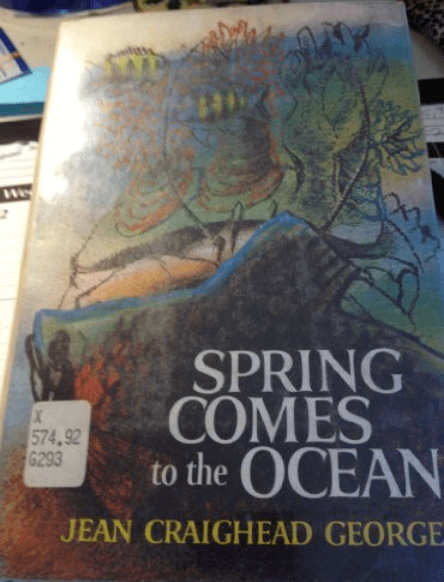 Spring Comes to the Ocean