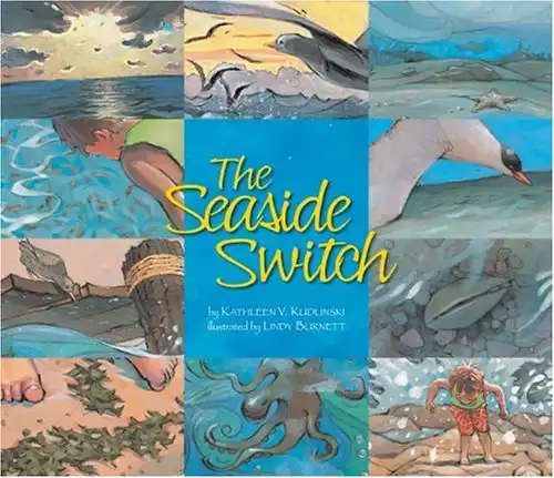 The Seaside Switch