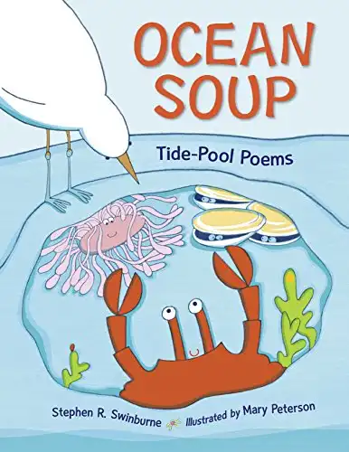 Ocean Soup: Tide-Pool Poems (Rise and Shine)